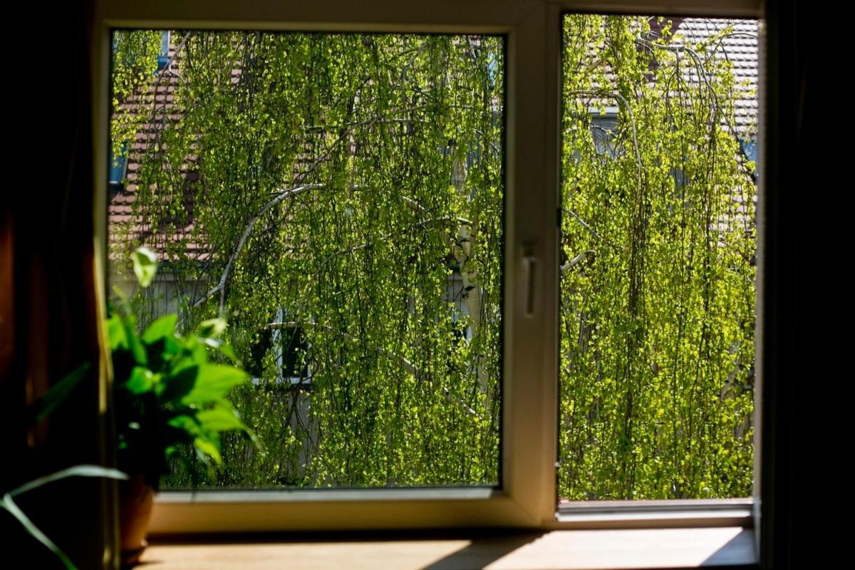 Leveloft - Przestronny, Stylowy Apartament Na Zielonej Ulicy W Centrum 弗罗茨瓦夫 外观 照片